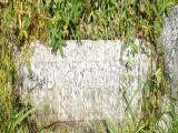 image of grave number 662801